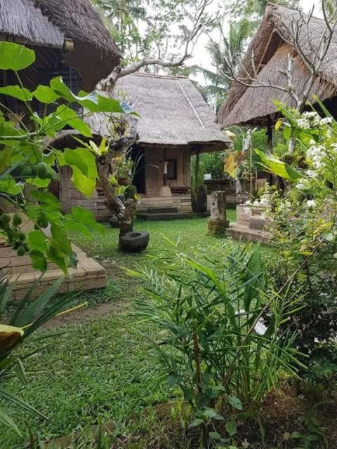 Bali: Ubud Full Day Charter - Key Points