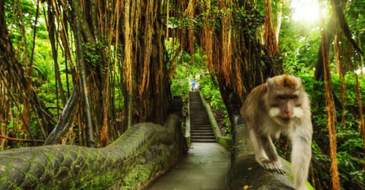 Bali: Ubud Monkey Forest & Waterfall - Key Points