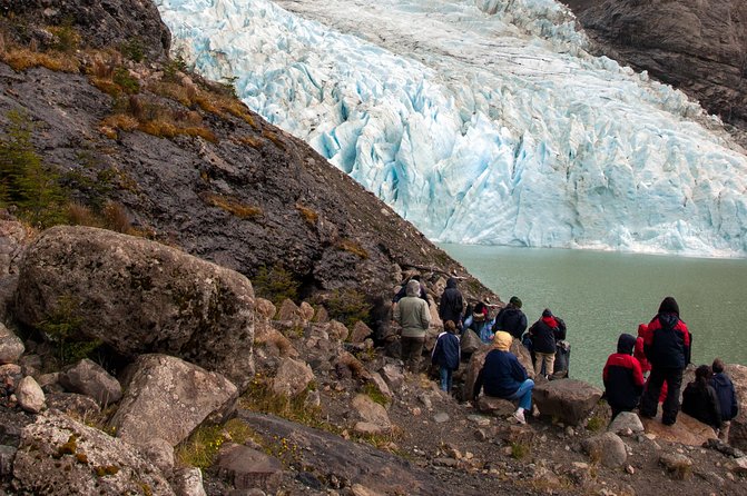 Balmaceda and Serrano Glaciers Sightseeing Cruise From Puerto Natales - Key Points