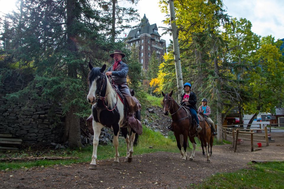 Banff: 4-Hour Sulphur Mountain Intermediate Horseback Ride - Key Points