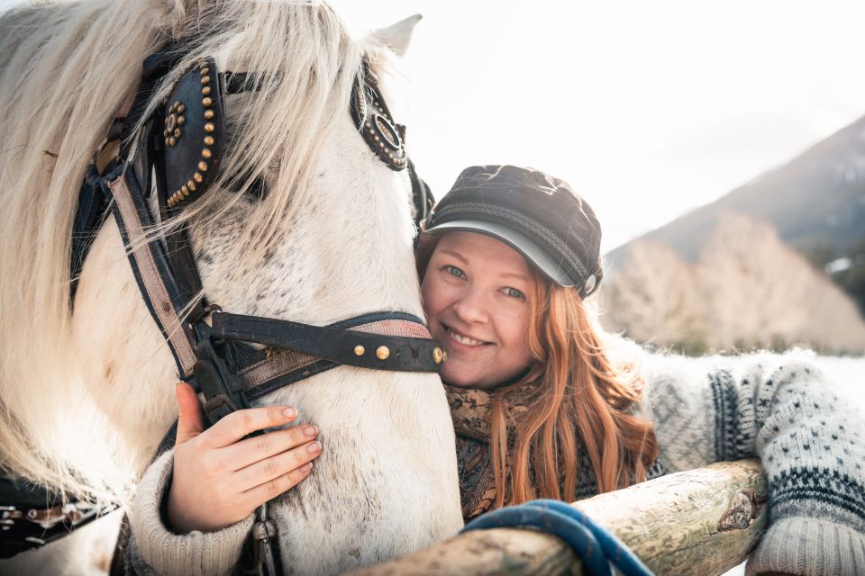 Banff: Family Friendly Horse-Drawn Sleigh Ride - Key Points