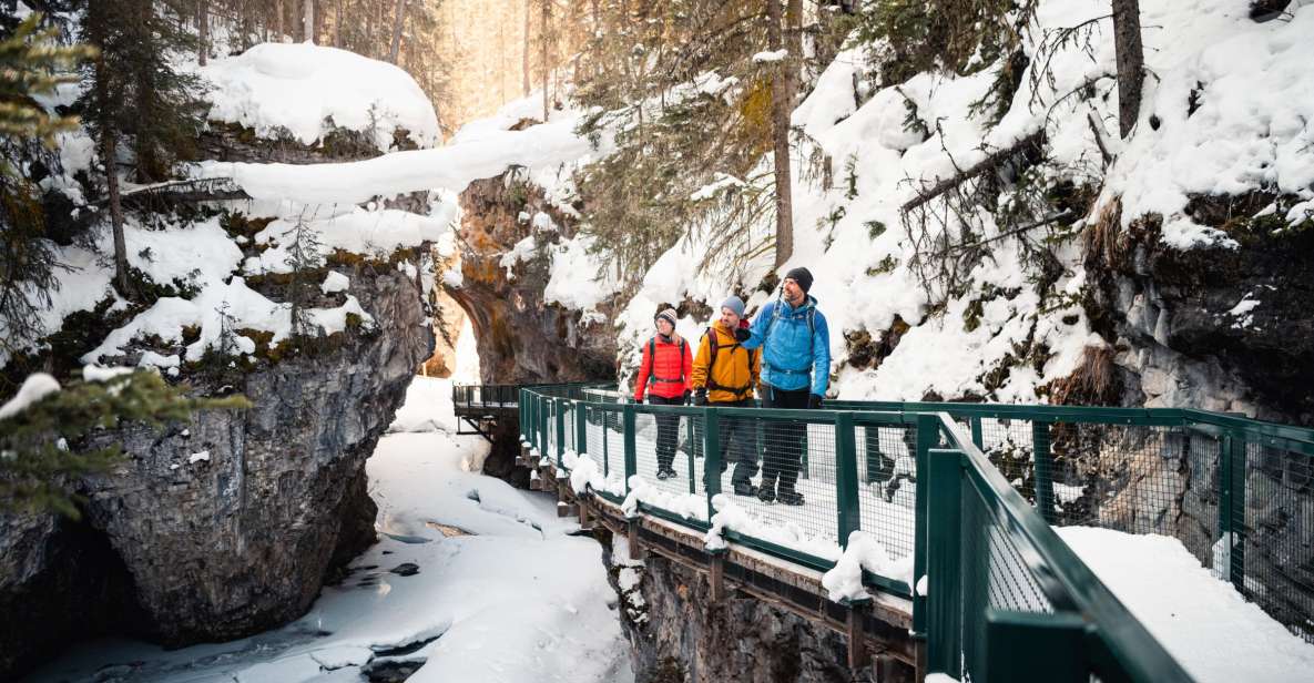 Banff: Morning or Afternoon Johnston Canyon Icewalk - Key Points