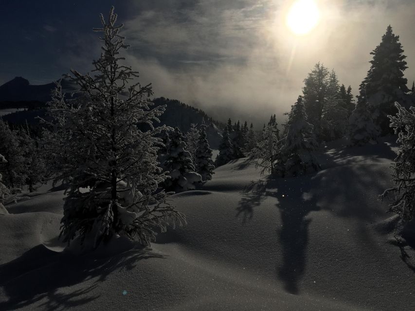 Banff National Park: Sunshine Meadows Snowshoeing Experience - Key Points