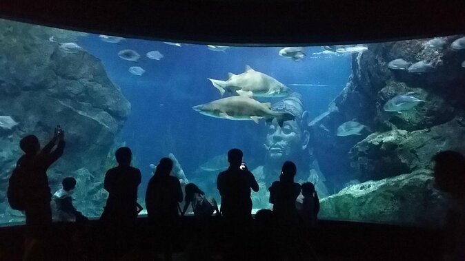 Bangkok Sea Life Aquarium and Madame Tussauds - Key Points