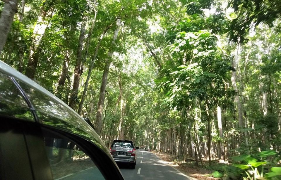 Banyuwangi: Private Car Charter With Professional Driver - Key Points