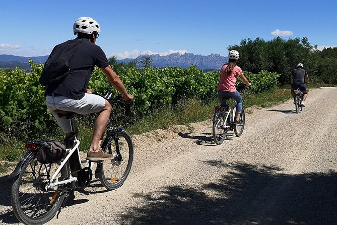 Barcelona: Wine & Ebike Full Day Guided Tour in Penedès - Key Points