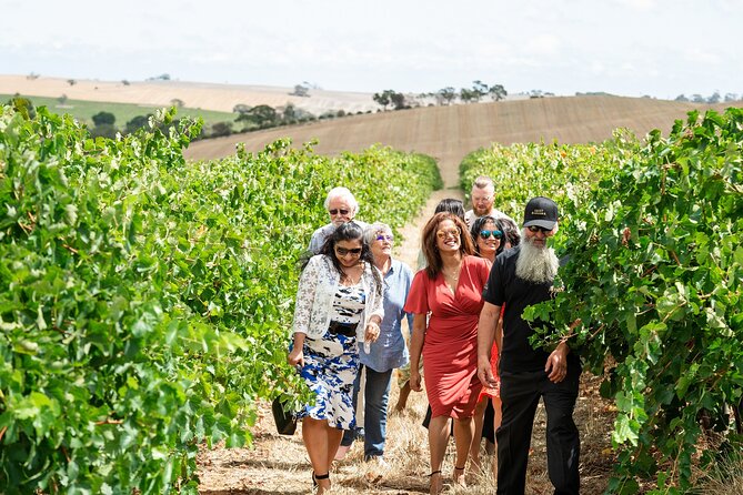 Barossa 4 Hours Wine Experience and Vineyard Walk With Lunch - Key Points