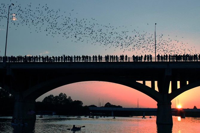 Bat Bridge Segway Tour - Key Points