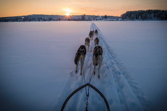 Be a Musher! Husky Tour Into the Arctic Wilderness - Tour Highlights