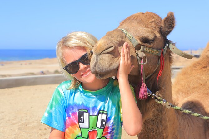 Beach Camel Ride & Encounter in Cabo by Cactus Tours Park - Key Points
