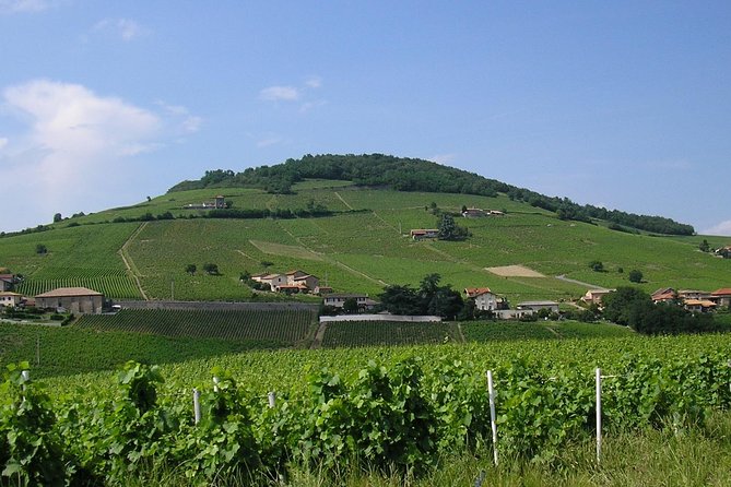 Beaujolais South to North Discovery Private Day Tour With Tastings From Lyon - Key Points