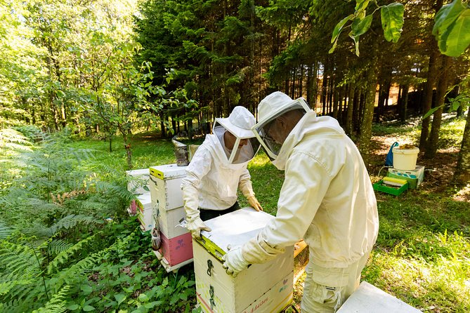 Beekeeper Experience in the Mountain of Holomontas - Key Points