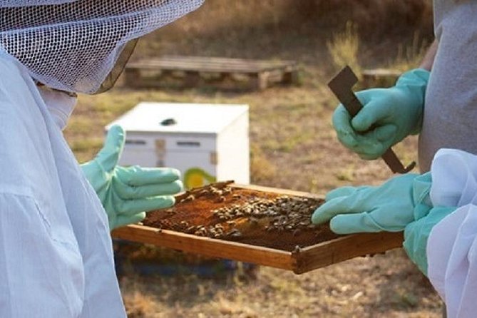 Beekeeper for a Day in Nafplio - Experience the World of Bees