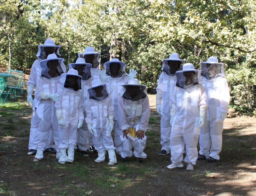 Beekeeping Tour in Amarante With Honey Tasting - Key Points