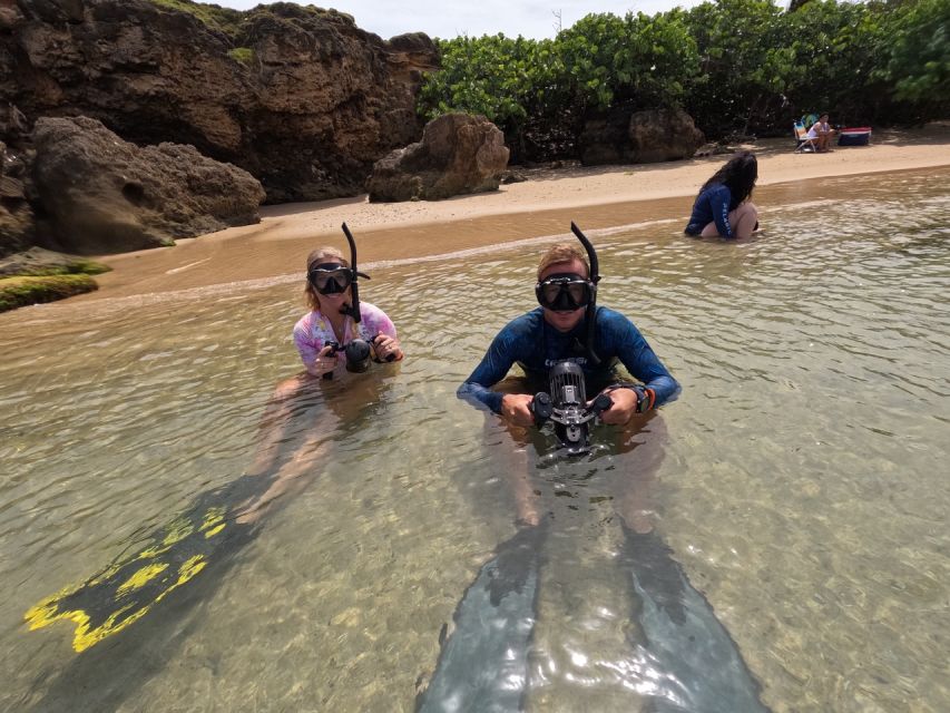 Beginner Jet Snorkel Tour With Videos - West Palm Beach - Key Points