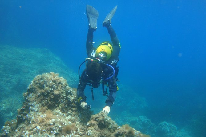 Beginners Diving in Santa Ponsa - Key Points