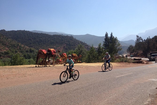 Beginners On-Road Bike Tour of the Atlas Mountains From Marrakech