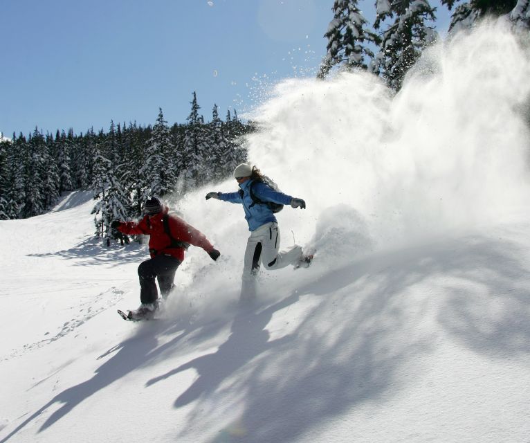 Bend: Half-Day Snowshoe Tour in the Cascade Mountain Range - Key Points