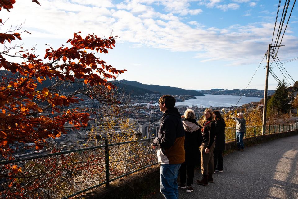 Bergen: Guided Minibus Tour With Photo Stops & Bryggen Tour - Key Points