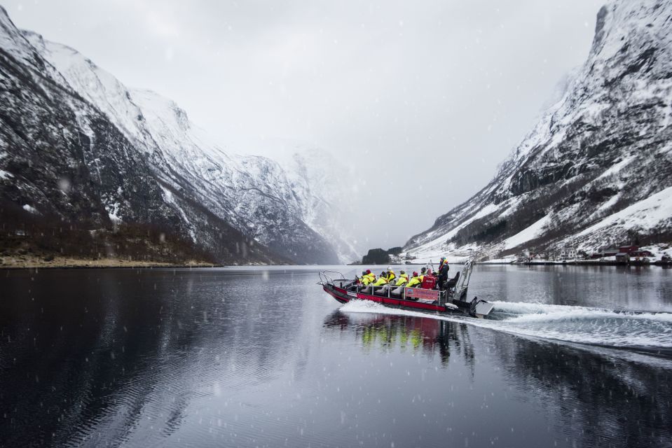 Bergen: RIB Sognefjord Safari and Flåm Railway Private Tour - Key Points