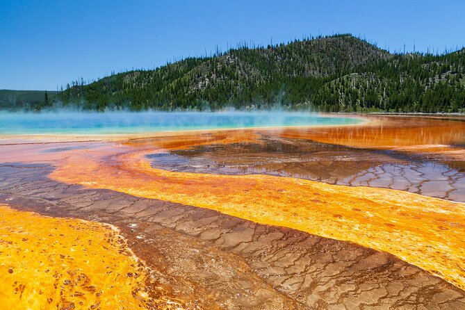 Best of Yellowstone Guided Tour From Bozeman – Private Tour
