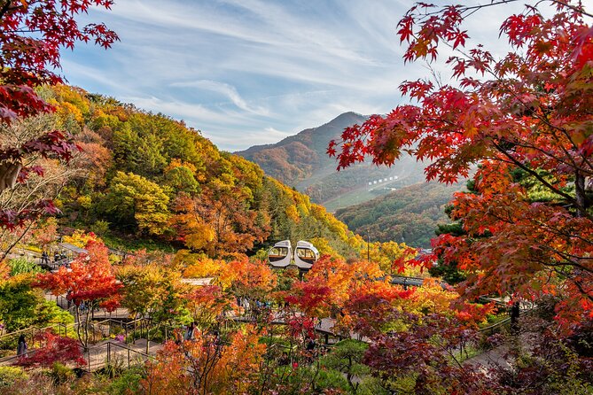 Best View Seoul Autumn Foliage Tour - Key Points