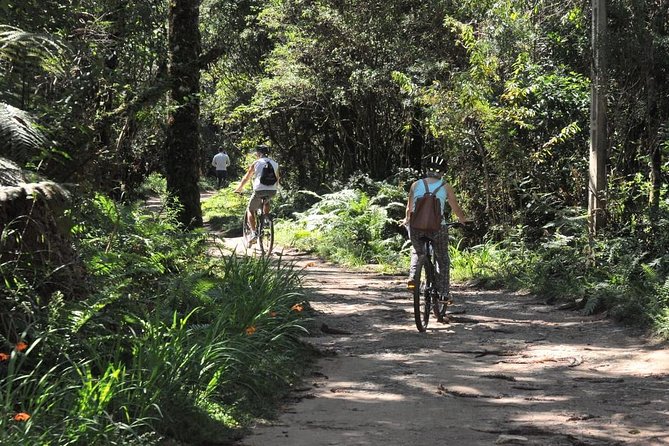 Bicycle Rental in Horto Florestal - Campos Do Jordão - Key Points