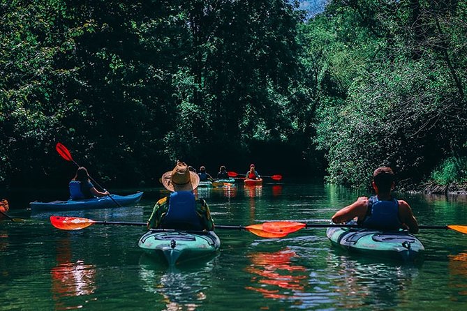 Big Creek Kayak Tour - Key Points