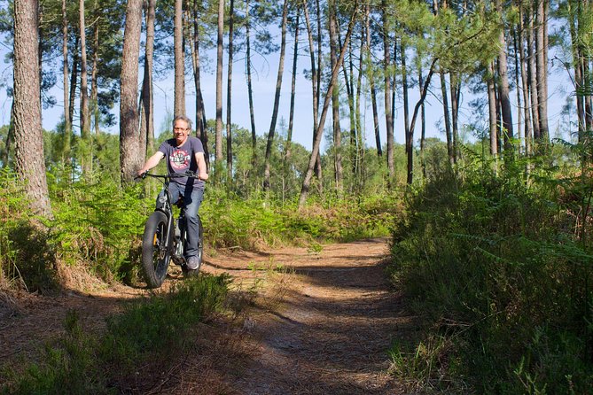 Bike Ride South of Bordeaux - Key Points