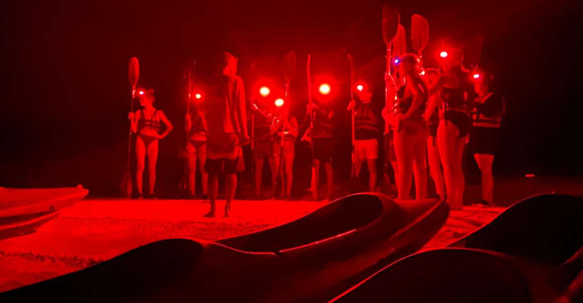 Bioluminescence Kayak Tour at Holbox - Key Points