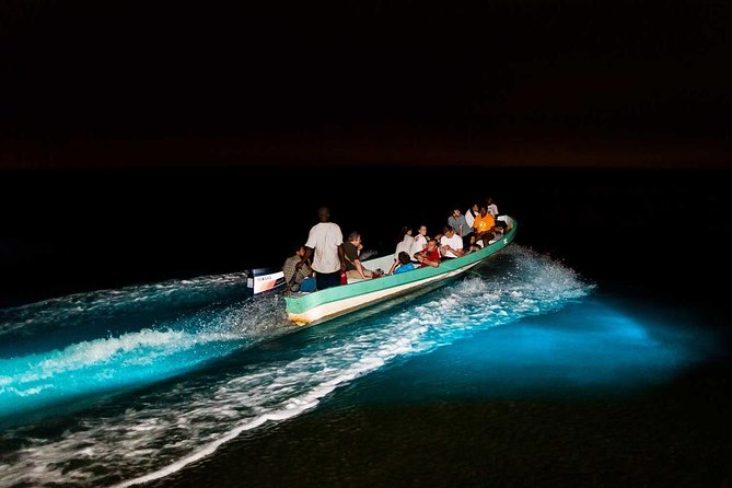 Bioluminescence Tour & Sunset River Cruise - Key Points