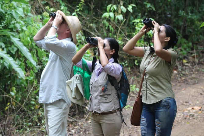 Bird Watching Tours With Sandra Plúa - Manabi, Ecuador - Key Points