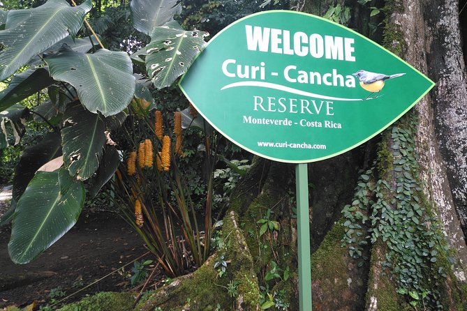Birdwatching Curi Cancha Reserve With Transport (Entrance Fees NOT Included) - Guided Tour Details