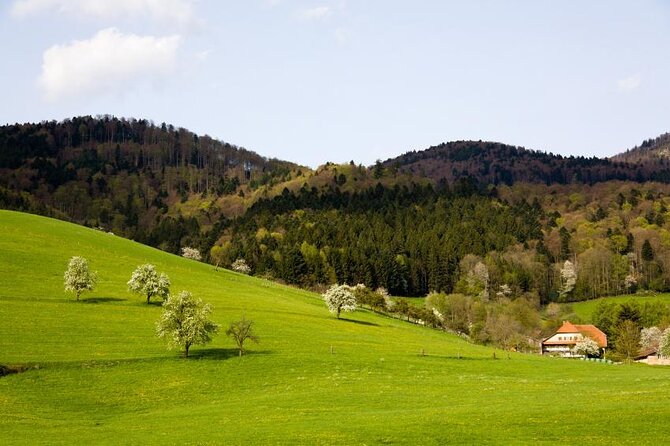 Black Forest Tour by Car: From Baden-Baden to Freiburg - Key Points