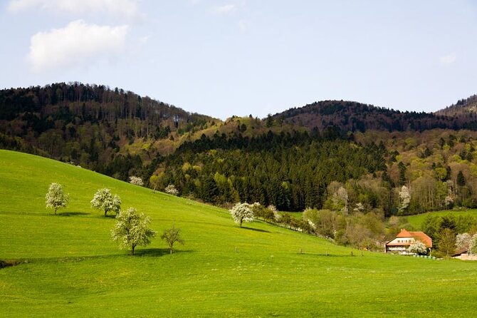 Black Forest Tour by Car - From Freiburg to Baden-Baden - Key Points