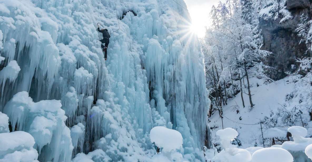 Bled Ice Climbing Experience - Key Points