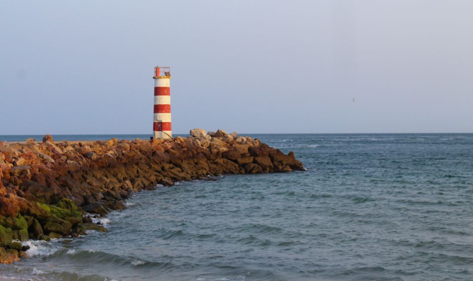 Boat Trip Through the Ria Formosa Natural Park and Islands - Key Points