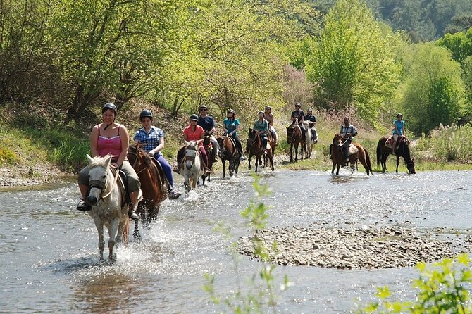 Bodrum Horse Riding Experience W/ Hotel Transfer Service - What Travelers Should Know Before Booking