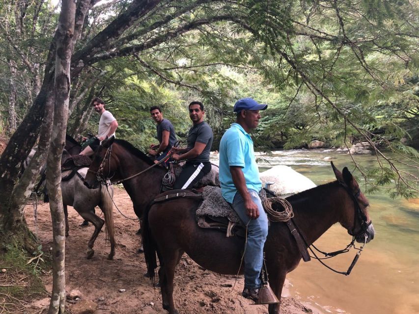 Bogota: Horseback Wilderness Ride - Key Points