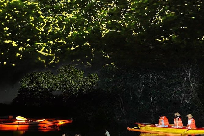 Bohol Firefly Or Fullmoon Tour Stand Up Paddle Tour - Key Points