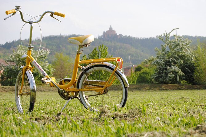 Bologna Panoramic Bike Tour - Key Points