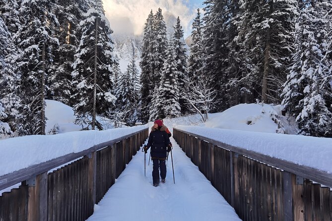 Bolzano Dolomites: Winter Hiking & Sledding Experience - Key Points