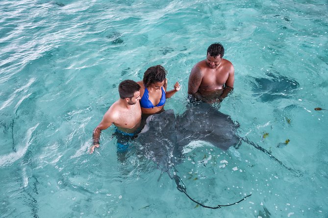 Bora Bora Eco Snorkel Cruise Including Snorkeling With Sharks and Stingrays - Key Points