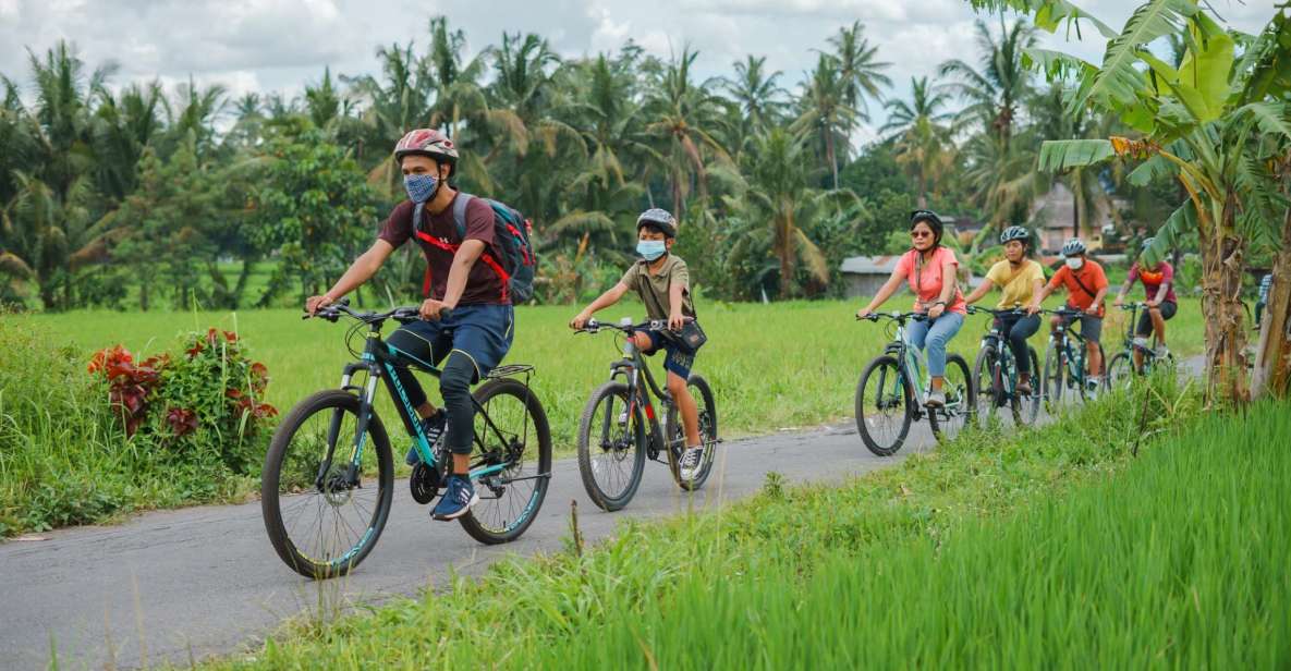 Borobudur Village Cycling and Temple Tour With Transfer - Key Points