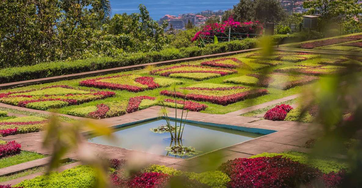 Botanical Garden & Funchal Old Town Private Tuk Tuk Tour - Key Points