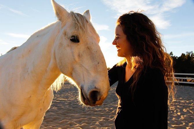 Boulder Equine Discovery Experience - Key Points