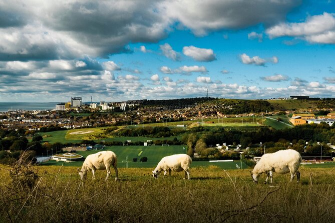 Brighton: Small-Group Scenic Hike & Countryside Yoga Class - Key Points