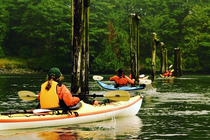 British Columbia: Ucluelet Small-Group Kayaking Harbour Tour  - Vancouver Island - Key Points