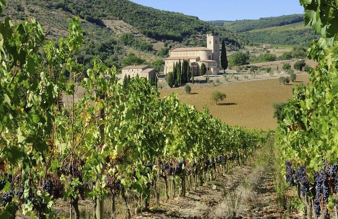 Brunello and Montepulciano Wine Tour From Cortona - Key Points