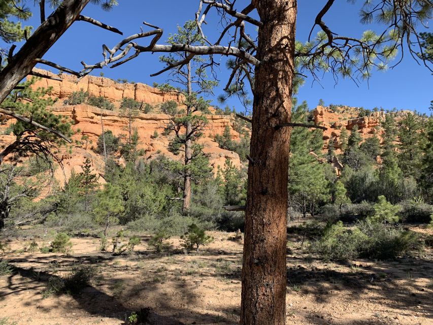 Bryce Canyon City: Horseback Riding Tour in Red Canyon - Key Points